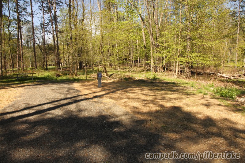 Campsite Photo of Site 89 at Gilbert Lake State Park, New York - Looking at Site from Road Sign Visible