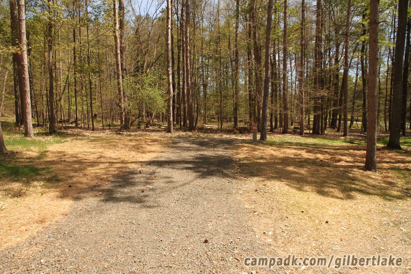 Campsite Photo of Site 69 at Gilbert Lake State Park, New York - Looking at Site from Road Sign Visible