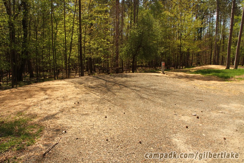 Campsite Photo of Site 64 at Gilbert Lake State Park, New York - Looking at Site from Road Sign Visible