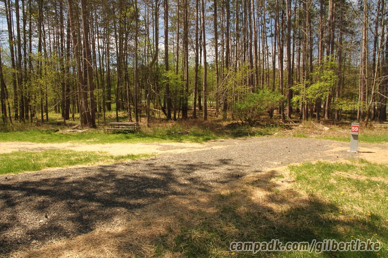 Campsite Photo of Site 59 at Gilbert Lake State Park, New York - Looking at Site from Road Sign Visible