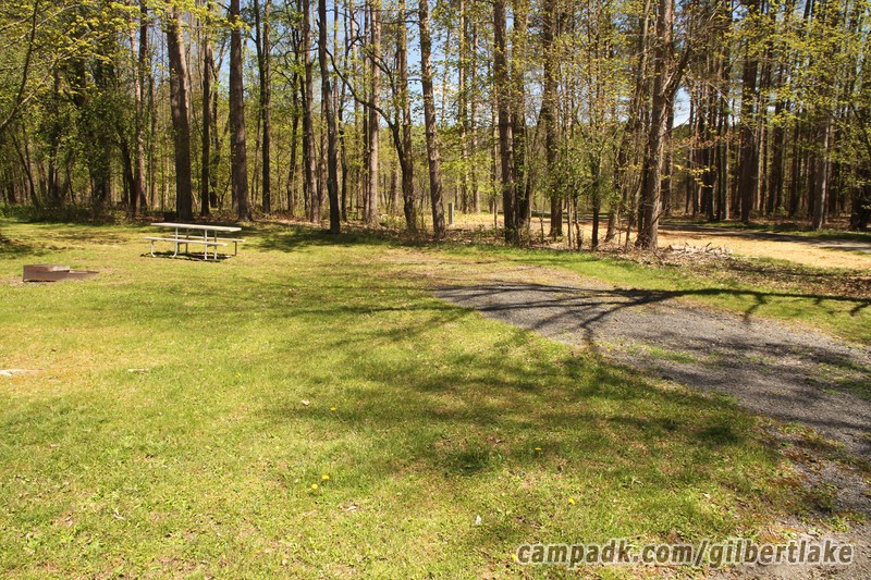 Campsite Photo of Site 79 at Gilbert Lake State Park, New York - Looking at Site from Road