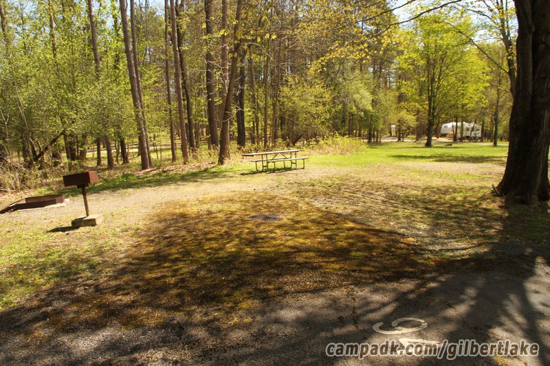Campsite Photo of Site 94 at Gilbert Lake State Park, New York - Looking at Site from Road Sign Visible