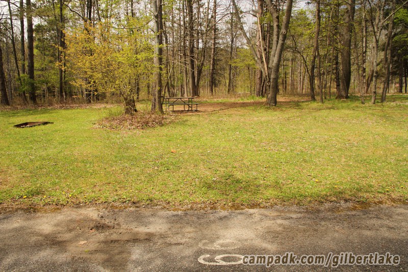 Campsite Photo of Site 99 at Gilbert Lake State Park, New York - Looking at Site from Road Sign Visible