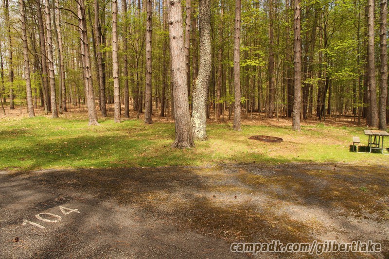 Campsite Photo of Site 104 at Gilbert Lake State Park, New York - Looking at Site from Road Sign Visible