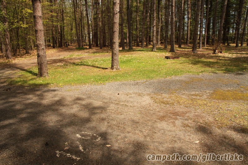 Campsite Photo of Site 129 at Gilbert Lake State Park, New York - Looking at Site from Road Sign Visible