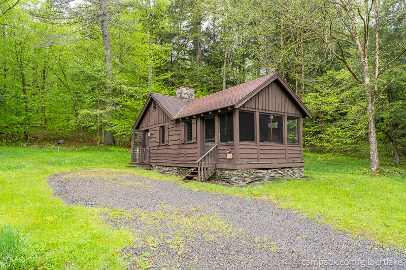 Campsite Photo of Site 21 at Gilbert Lake State Park, New York - Looking at Site from Road Sign Visible
