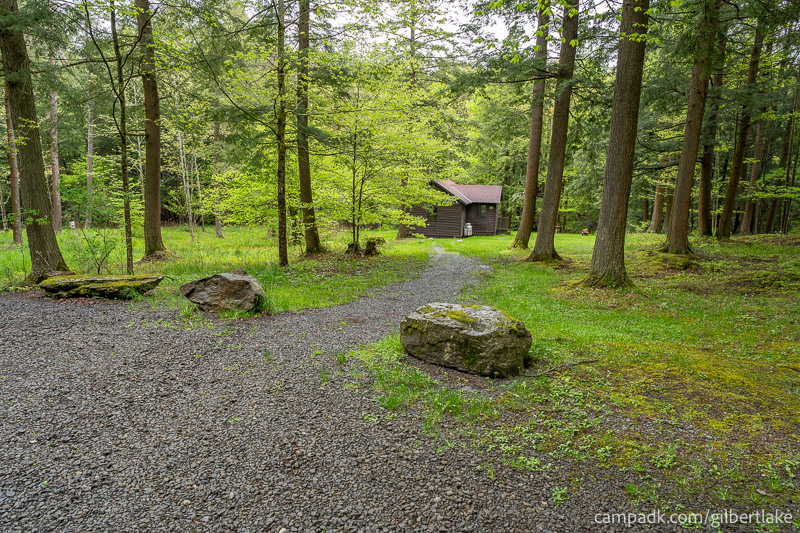 Campsite Photo of Site 9 at Gilbert Lake State Park, New York - Looking at Site from Road Sign Visible