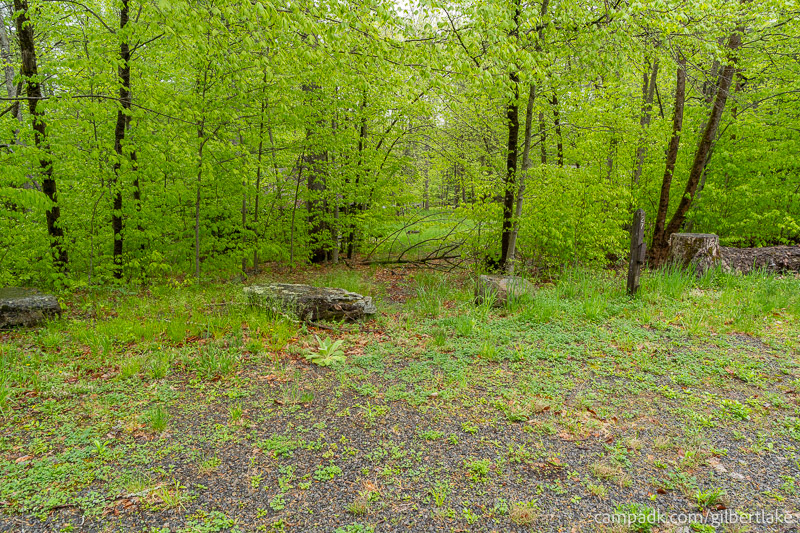 Campsite Photo of Site 27 at Gilbert Lake State Park, New York - Looking at Site from Road Sign Visible