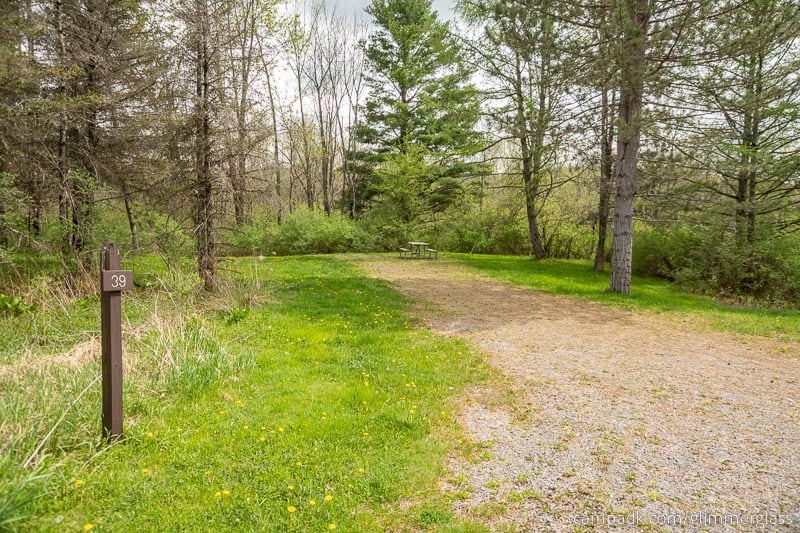 Campsite Photo of Site 39 at Glimmerglass State Park, New York - Looking at Site from Road Sign Visible