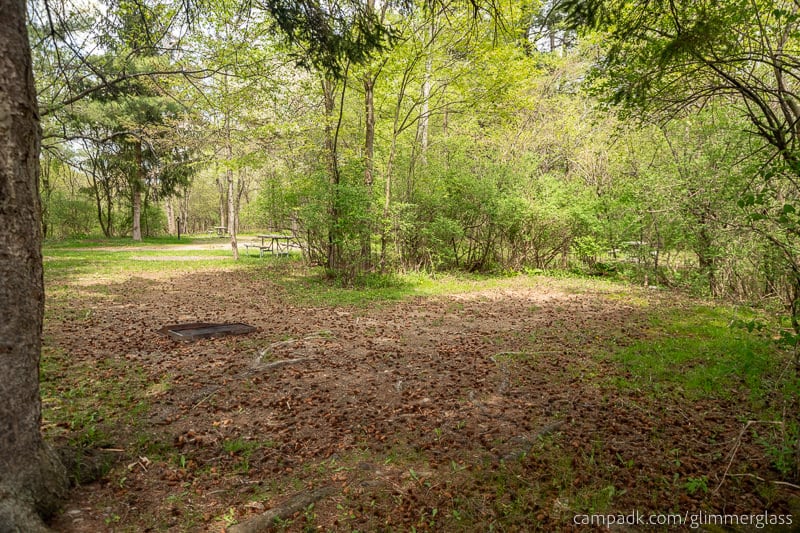 Campsite Photo of Site 40 at Glimmerglass State Park, New York - Looking at Site from Road