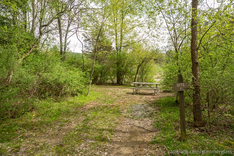 Campsite Photo of Site 41 at Glimmerglass State Park, New York - Looking at Site from Road Sign Visible