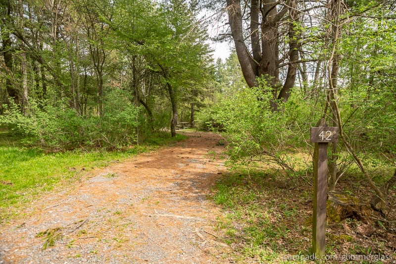Campsite Photo of Site 42 at Glimmerglass State Park, New York - Looking at Site from Road Sign Visible