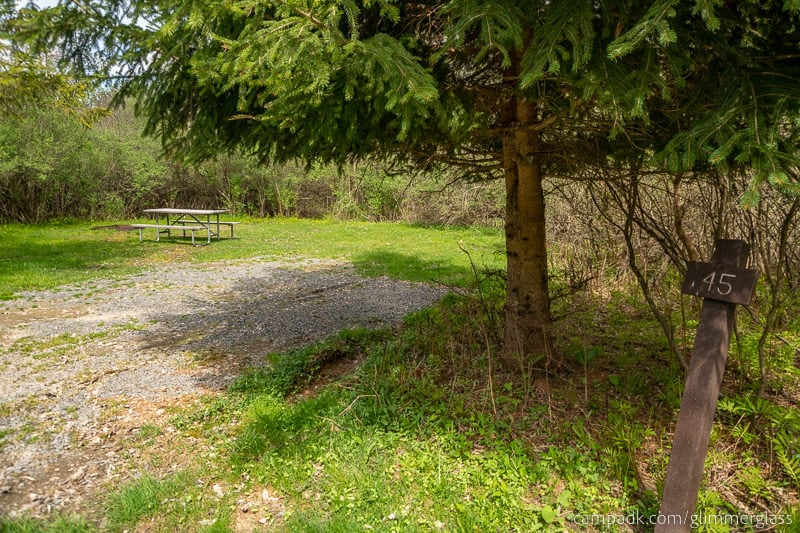 Campsite Photo of Site 45 at Glimmerglass State Park, New York - Looking at Site from Road Sign Visible