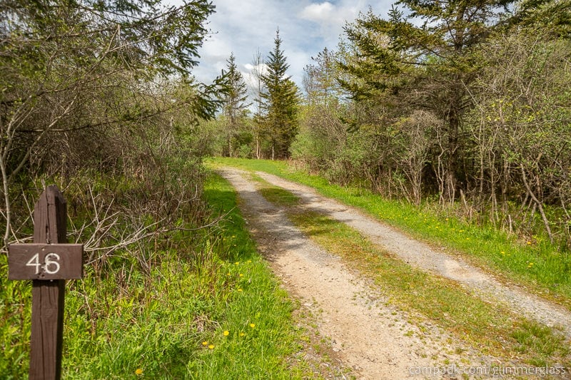 Campsite Photo of Site 46 at Glimmerglass State Park, New York - Looking at Site from Road Sign Visible