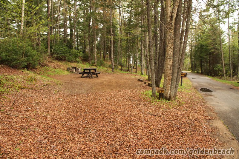 Campsite Photo of Site 153 at Golden Beach Campground, New York - Looking at Site from Road Sign Visible