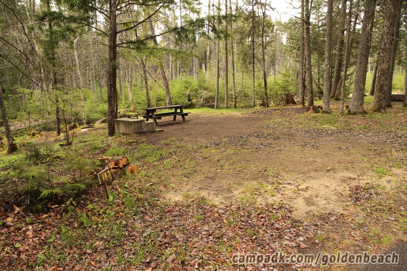Campsite Photo of Site 143 at Golden Beach Campground, New York - Looking at Site from Road Sign Visible