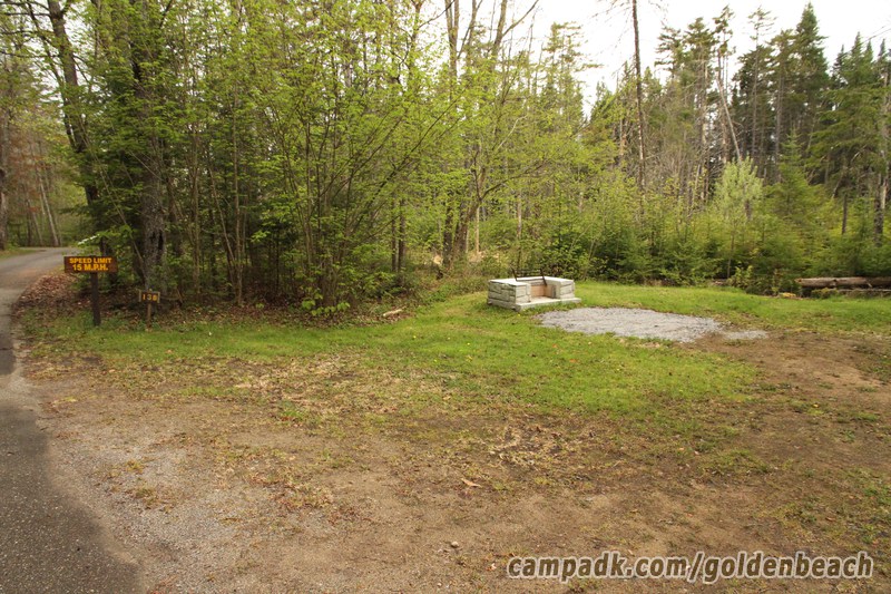 Campsite Photo of Site 138 at Golden Beach Campground, New York - Looking at Site from Road Sign Visible
