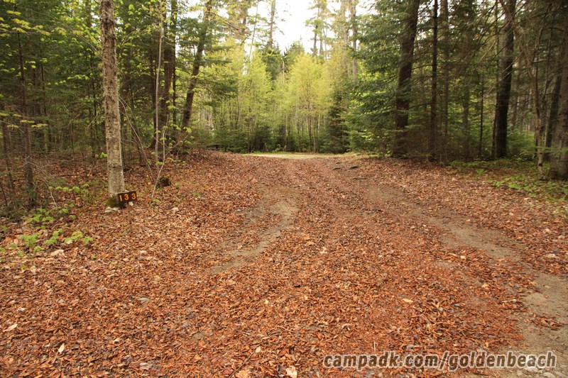 Campsite Photo of Site 133 at Golden Beach Campground, New York - Looking at Site from Road Sign Visible