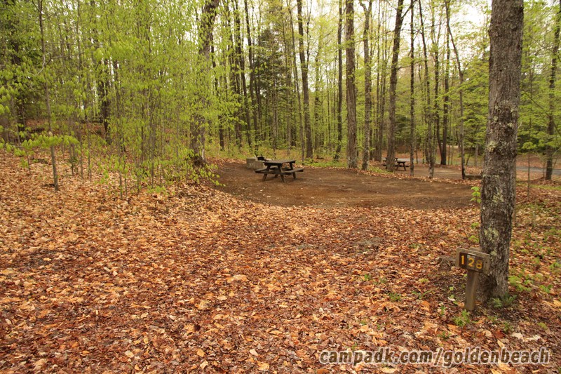 Campsite Photo of Site 128 at Golden Beach Campground, New York - Looking at Site from Road Sign Visible