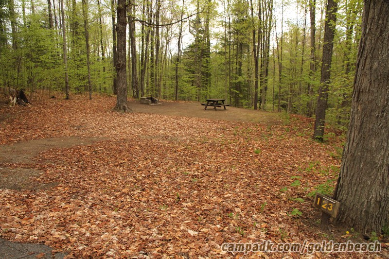 Campsite Photo of Site 123 at Golden Beach Campground, New York - Looking at Site from Road Sign Visible