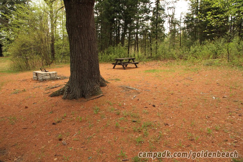 Campsite Photo of Site 37 at Golden Beach Campground, New York - Looking at Site from Road Sign Visible