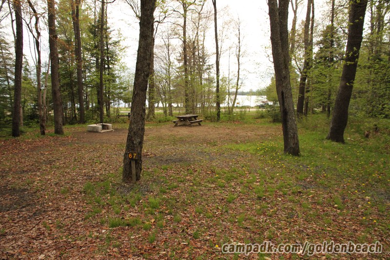 Campsite Photo of Site 67 at Golden Beach Campground, New York - Looking at Site from Road Sign Visible