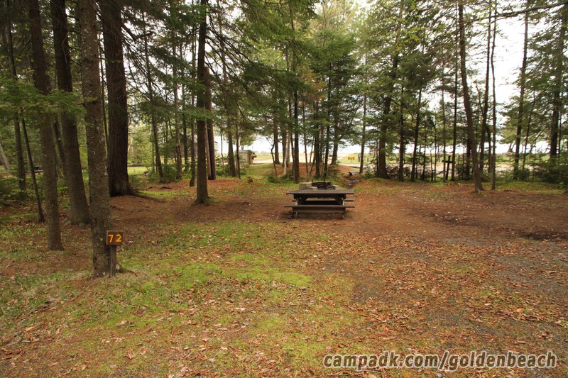 Campsite Photo of Site 72 at Golden Beach Campground, New York - Looking at Site from Road Sign Visible
