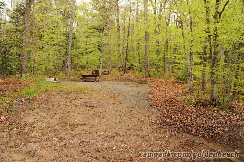 Campsite Photo of Site 112 at Golden Beach Campground, New York - Looking at Site from Road Sign Visible
