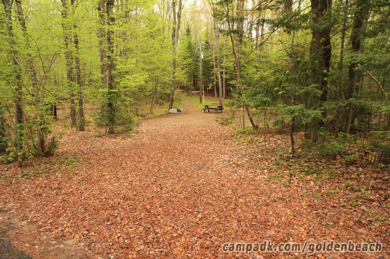 Campsite Photo of Site 102 at Golden Beach Campground, New York - Looking at Site from Road Sign Visible