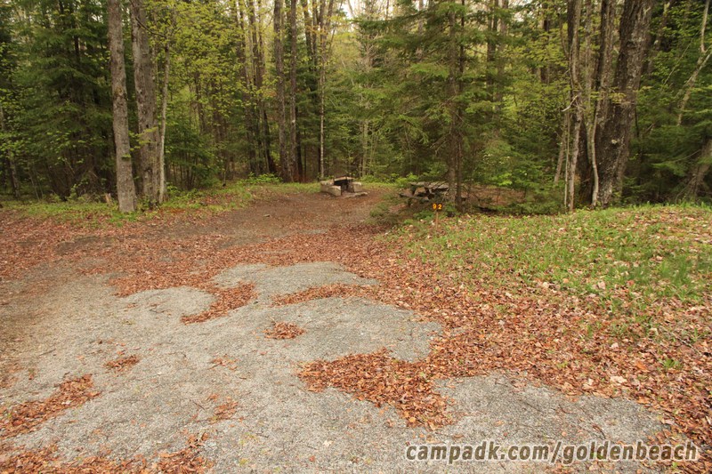 Campsite Photo of Site 92 at Golden Beach Campground, New York - Looking at Site from Road Sign Visible