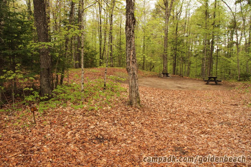 Campsite Photo of Site 87 at Golden Beach Campground, New York - Looking at Site from Road Sign Visible