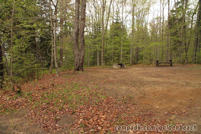 Campsite Photo of Site 117 at Golden Beach Campground, New York - Looking at Site from Road Sign Visible