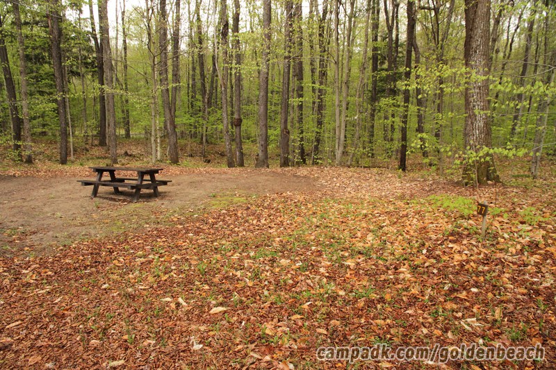 Campsite Photo of Site 77 at Golden Beach Campground, New York - Looking at Site from Road Sign Visible