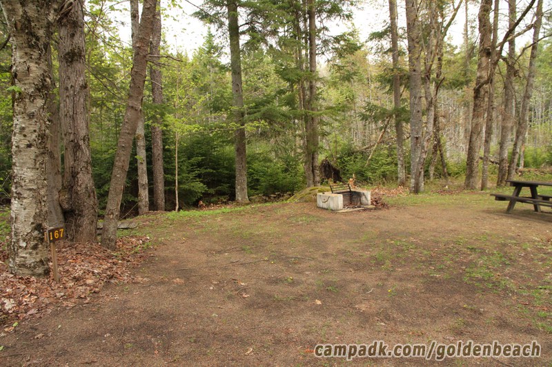 Campsite Photo of Site 167 at Golden Beach Campground, New York - Looking at Site from Road Sign Visible