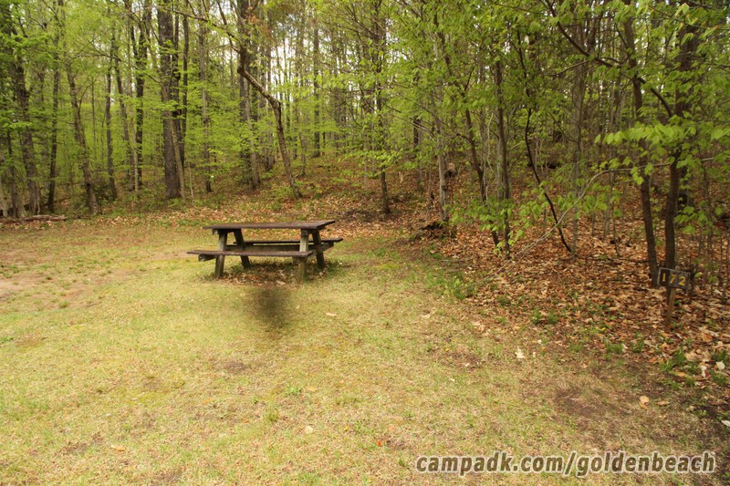 Campsite Photo of Site 172 at Golden Beach Campground, New York - Looking at Site from Road Sign Visible