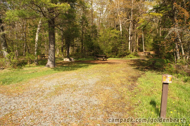 Campsite Photo of Site 57 at Golden Beach Campground, New York - Looking at Site from Road Sign Visible