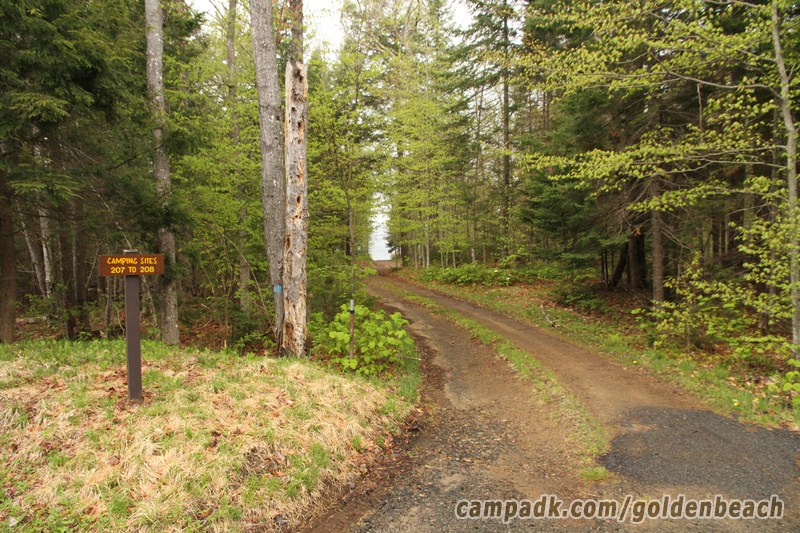 Campsite Photo of Site 207 at Golden Beach Campground, New York - Looking at Site from Road Sign Visible