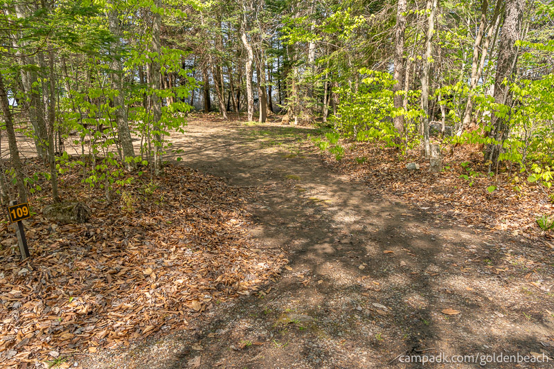 Campsite Photo of Site 109 at Golden Beach Campground, New York - Looking at Site from Road Sign Visible
