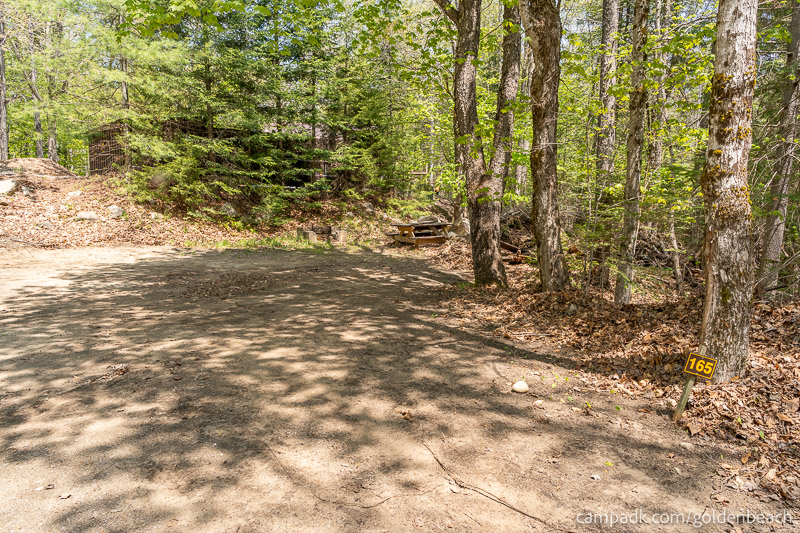 Campsite Photo of Site 165 at Golden Beach Campground, New York - Looking at Site from Road Sign Visible