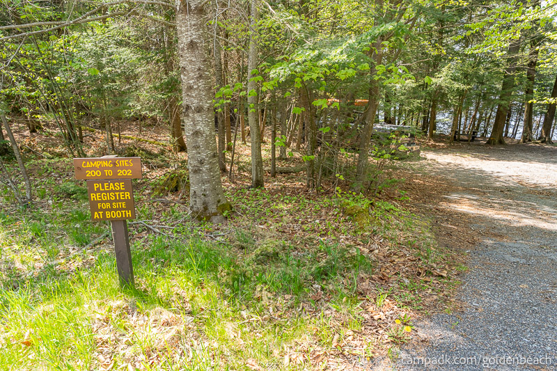Campsite Photo of Site 202 at Golden Beach Campground, New York - Looking at Site from Road Sign Visible