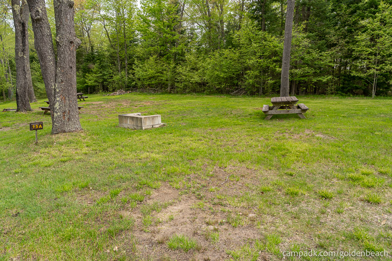 Campsite Photo of Site 15A at Golden Beach Campground, New York - Looking at Site from Road Sign Visible