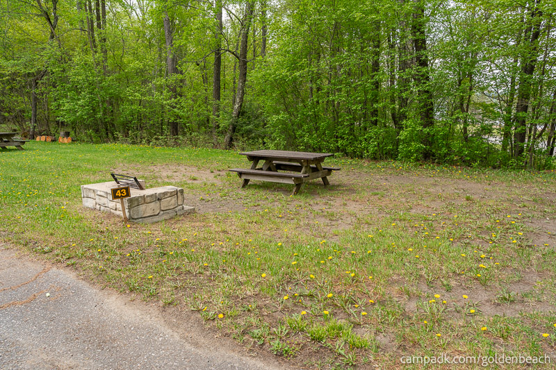 Campsite Photo of Site 43 at Golden Beach Campground, New York - Looking at Site from Road Sign Visible