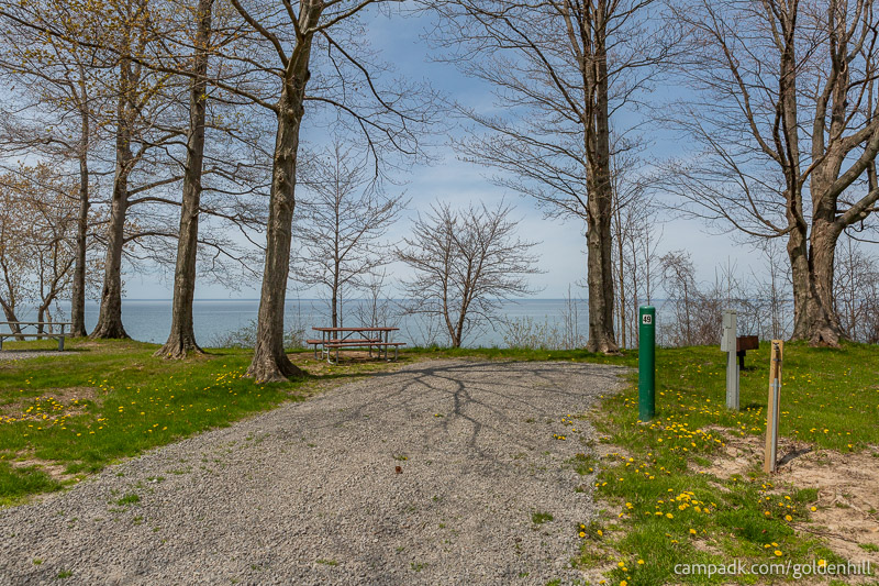 Campsite Photo of Site 49 at Golden Hill State Park, New York - Looking at Site from Road Sign Visible