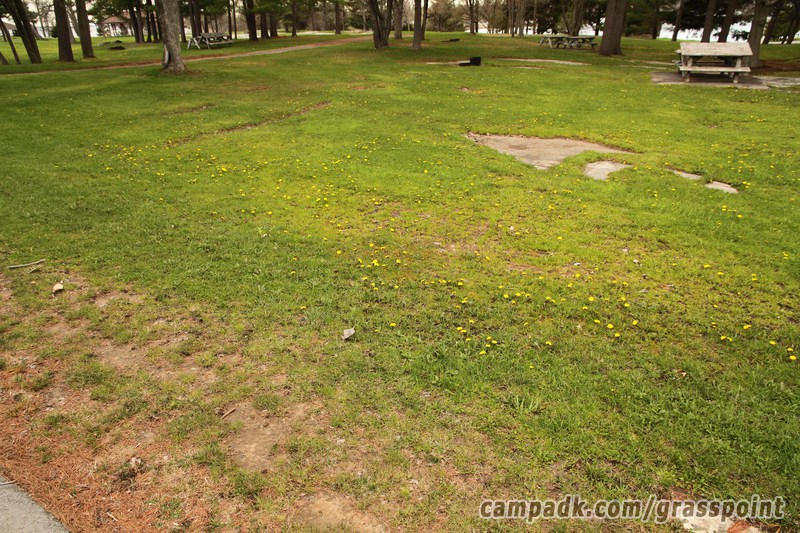 Campsite Photo of Site 25 at Grass Point State Park, New York - Looking at Site from Road Sign Visible