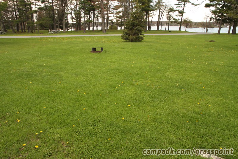 Campsite Photo of Site 4 at Grass Point State Park, New York - Looking at Site from Road Sign Visible