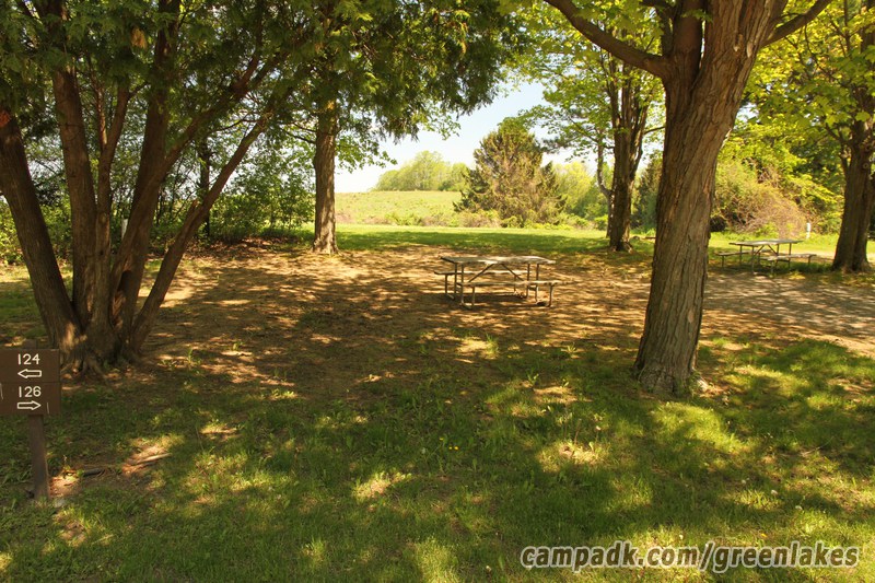 Campsite Photo of Site 126 at Green Lakes State Park, New York - Looking at Site from Road Sign Visible