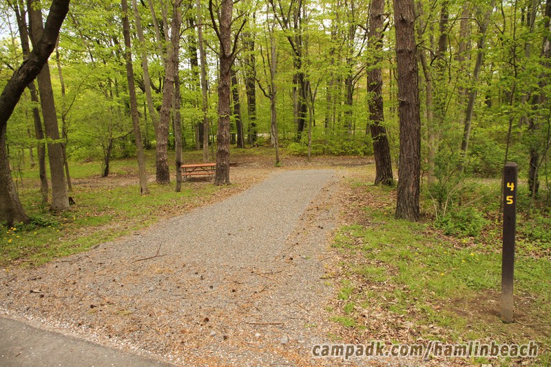 Campsite Photo of Site 45 at Hamlin Beach State Park, New York - Looking at Site from Road Sign Visible