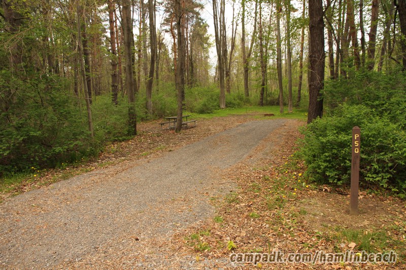 Campsite Photo of Site 50 at Hamlin Beach State Park, New York - Looking at Site from Road Sign Visible