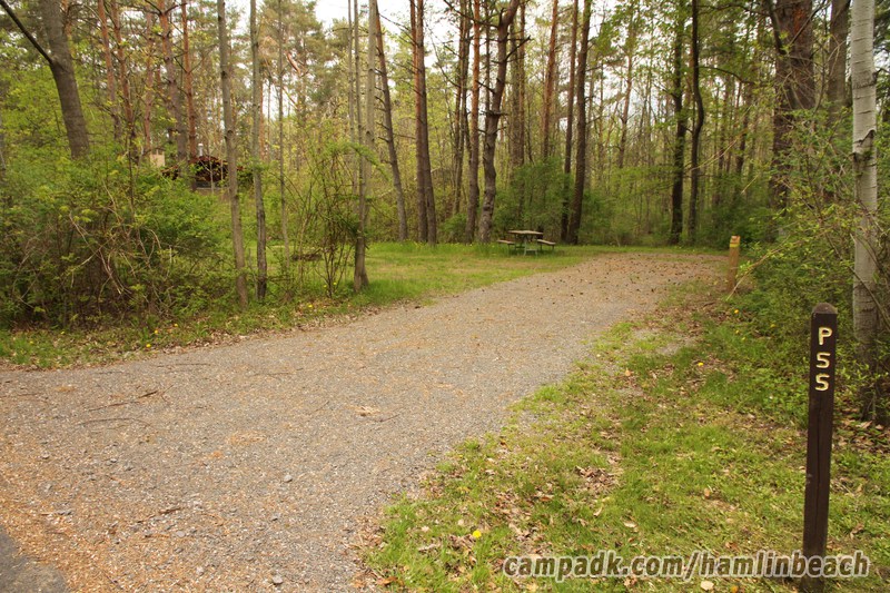 Campsite Photo of Site 55 at Hamlin Beach State Park, New York - Looking at Site from Road Sign Visible