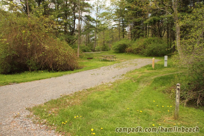 Campsite Photo of Site 115 at Hamlin Beach State Park, New York - Looking at Site from Road Sign Visible